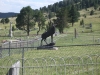 mtpisgah_cemetery