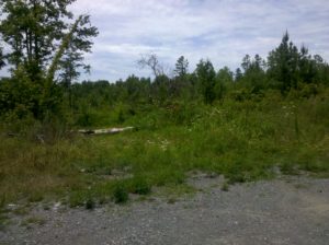 Aetna Mountain Cemetery