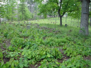 Aetna Cemetery Rear