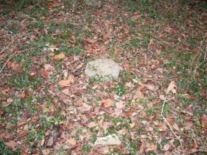 Unmarked field stone within Ray Cemetery, Tennessee