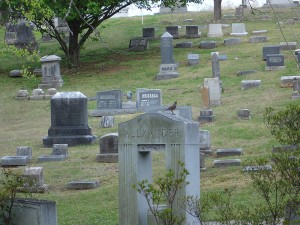 hillside grave sites Forest Hills Cemetery - St. Elmo, Tennessee