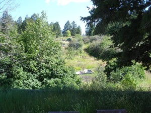 Aspen Hill Cemetery Grave Sites