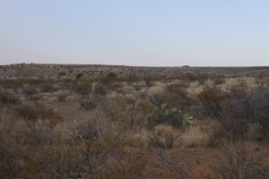 Elephant Butte, New Mexico