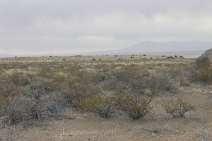 Elephant Butte Cemetery