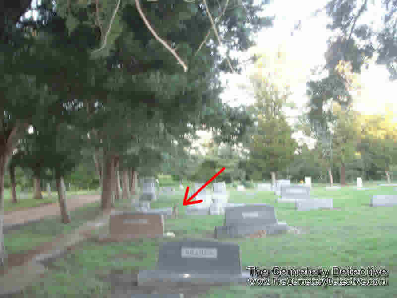 bobcat_running_through_cemetery bobcat_cemetery