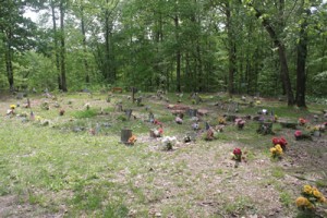 Coon Dog Cemetery Overview