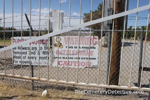 Rattlesnakes in the Cemetery