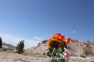 Rattlesnake Habitat in a Cemetery