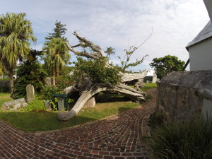 st. peters cemetery cedar