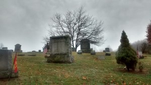 Stanford Cemetery Tree