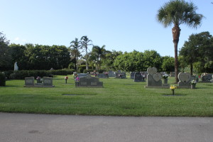 Cemetery Grass