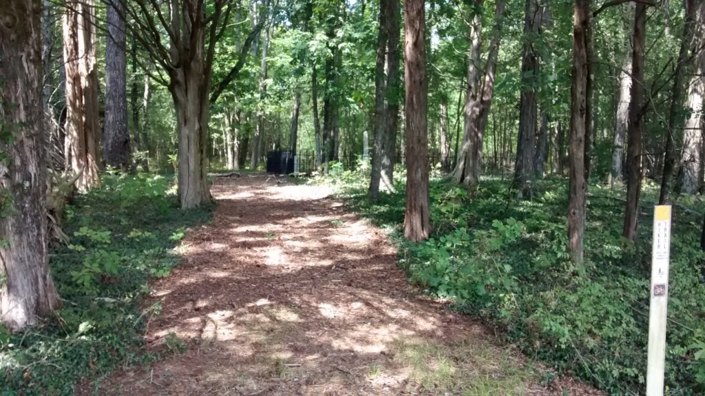 Hunt Cemetery - In the woods