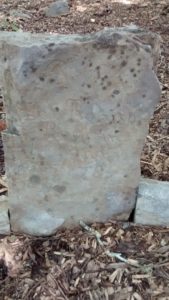 Gravestone of Ann Robison