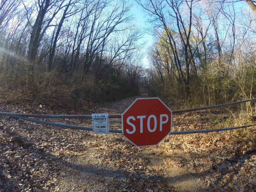 Kings Point Cemetery - Service Road