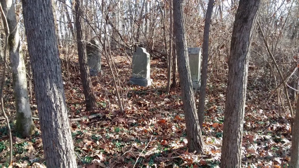Grave markers in Kings Point Cemetery 3_graves