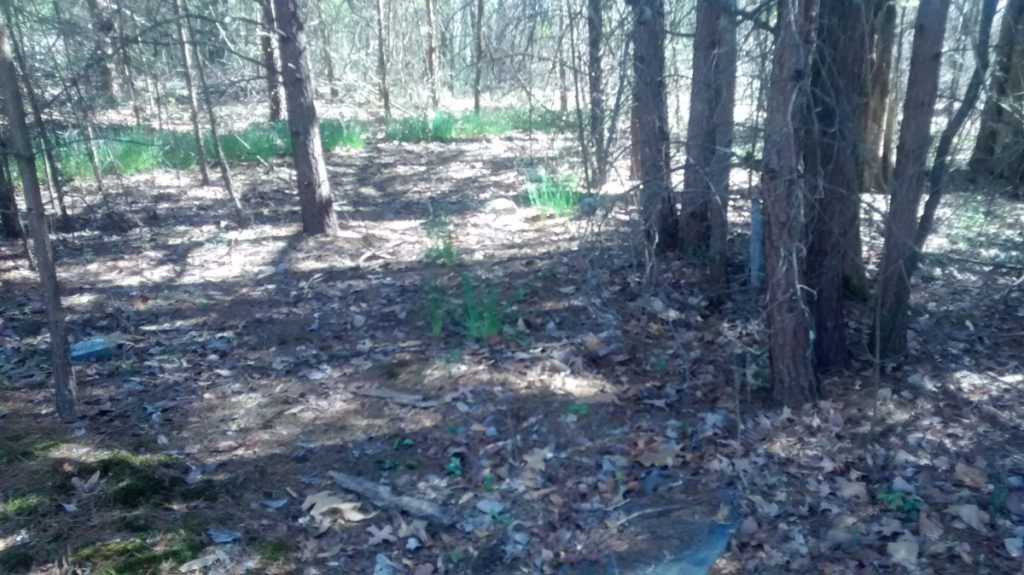 Tall Hill Cemetery