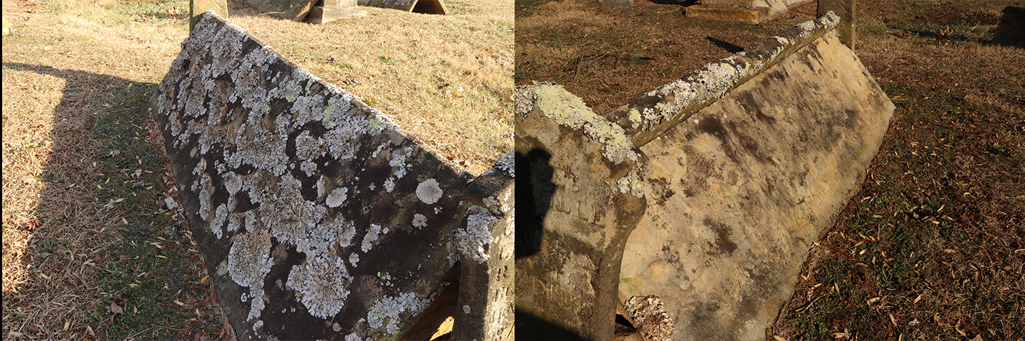 Lichen Growth on the North Facing Side of A Comb Grave.