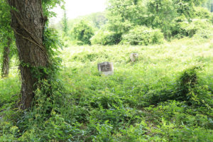 Single Gravestone in a Cemetery