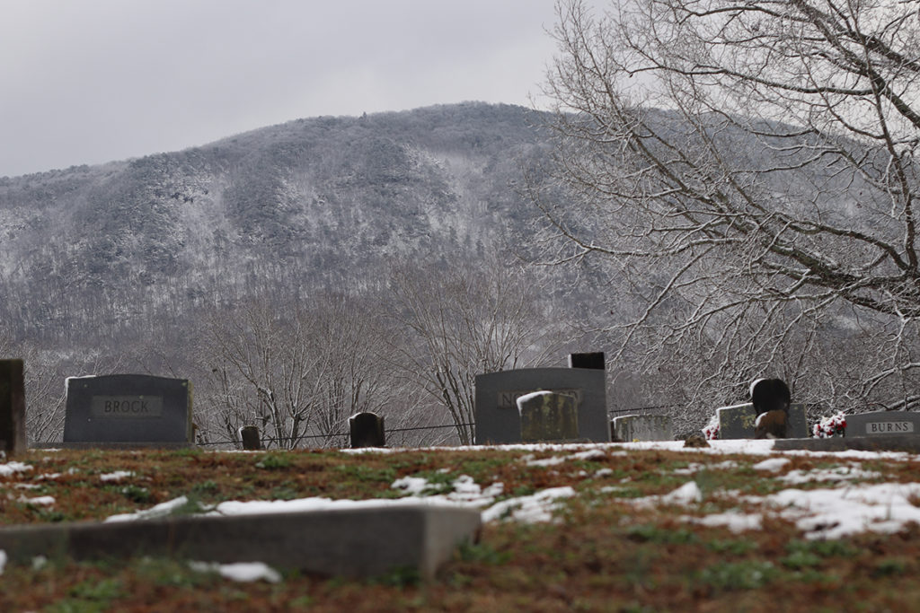 Mountain Empire Pet Cemetery in Bristol, Tennessee - Find a Grave