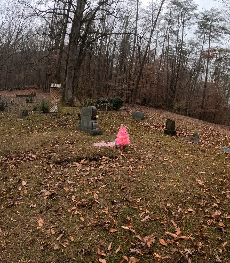 Pretty Pink Christmas Tree Grave Decoration in McNabb Cemetery